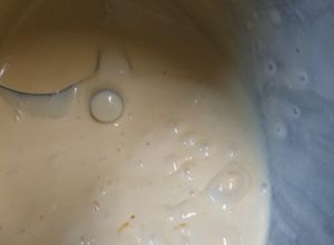 Foto principal de Holandesa a thermomix