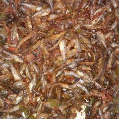 Fried Omena A picture of Fried Omena.