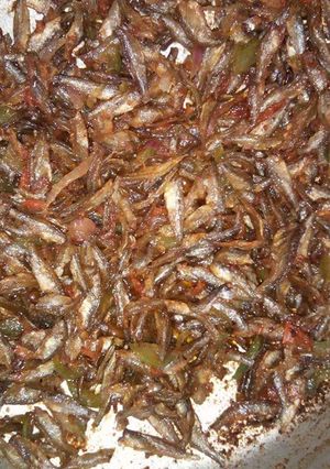 A picture of Fried Omena.