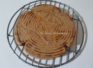 Une photo de Galette d'orge 🌾