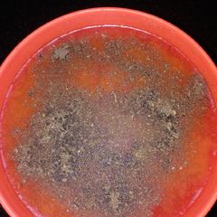 A picture of Besan ke gatte.