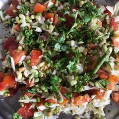Mung Veg Salad A picture of Mung Veg Salad.