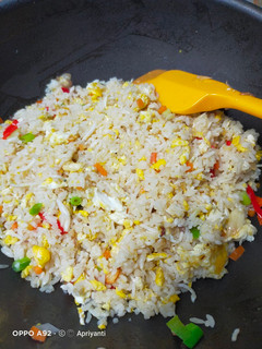 Foto resep Nasi Goreng Teri Medan