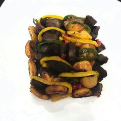 A picture of Gizzard dodo.