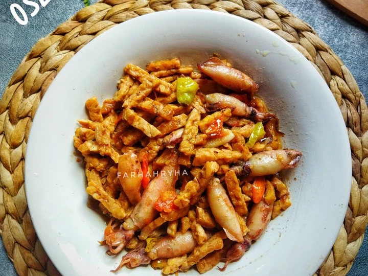 Cara Mudah Membikin Resep  Oseng Cumi Asin Tempe yang Bikin Ngiler, Sempurna