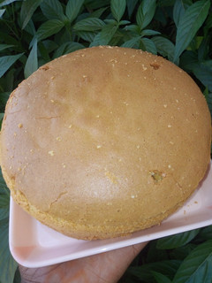 A picture of Plane vanilla sponge cake.