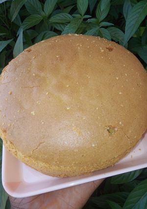 A picture of Plane vanilla sponge cake.