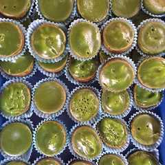 รูปของ Bolu Kojo/Juada basah
