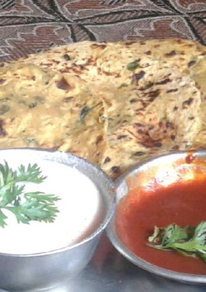 A picture of Methi ka pratha.