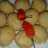 Tahu Bulat Simple "non MSG"