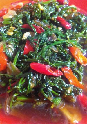 Foto resep Tumis pakis pedas