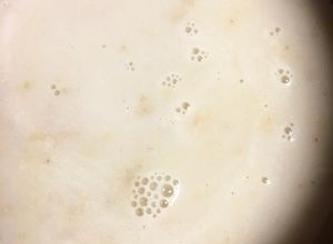 Una foto de Atole de Avena con leche de almendras ❤️