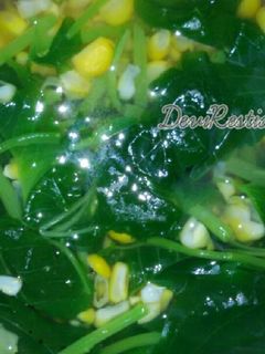 Foto resep Sayur Bening Bayam