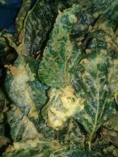 Foto resep KRiPiK BaYam