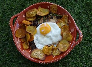 Foto de Bife de peru com cogumelos e espargos com molho à "café"
