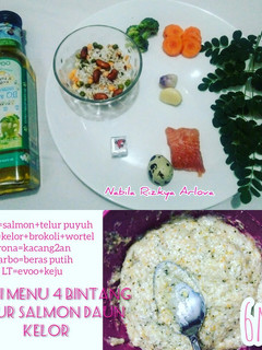 Foto resep Mpasi salmon t.puyuh daun kelor m6+