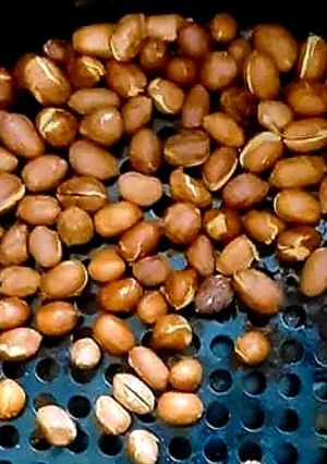 Hình của món Lạc rang bằng NCKD.