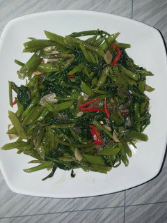 Foto resep Kangkung Saos Tiram