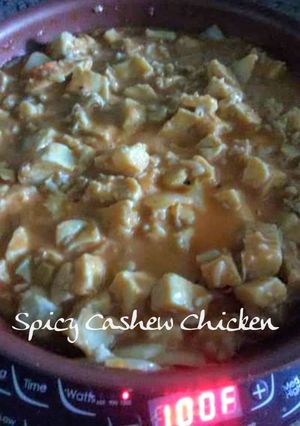 A picture of Chinese Spicy Cashew Chicken.