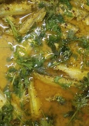 A picture of Mourala Macher Jhal.