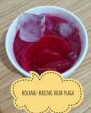 Kolang-kaling Buah Naga