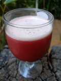 દાડમ એપલ નો જયુસ (Pomegranate Apple Juice Recipe In Gujarati)