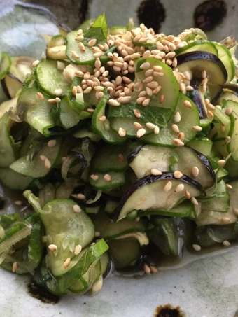 Simple Way Make Recipe Japanese cucumber and eggplant salad that is Awesome, Appealing}
