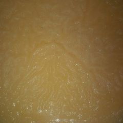 A picture of Vanilla custard.