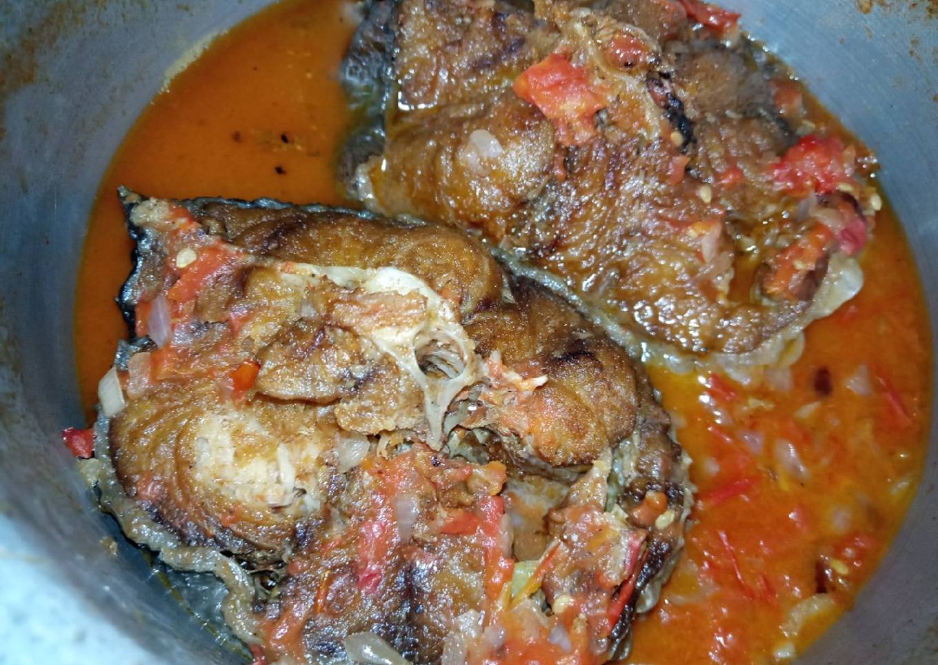 Mud Fish