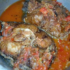 A picture of Mud Fish.