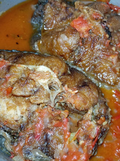 A picture of Mud Fish.