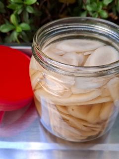 排毒.減重料理-糖醋漬牛蒡 的食譜成品照片