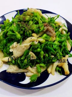 Hình của món Hoa Thiên Lý xào nấm bào ngư(món chay).