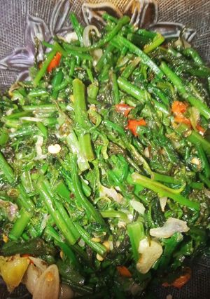 Foto resep Tumis Pakis