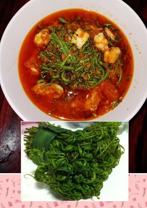 Foto resep SayuR pakis Mini Mix Udang 💋