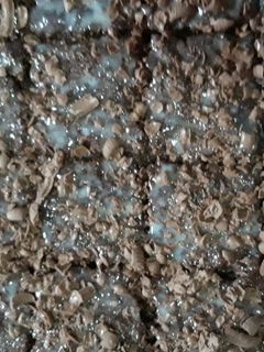 صورة لوصفة بسبوسة الجلاكسي