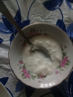 عکسی از دستور ماست خانگی