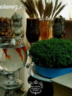 عکسی از دستور سفره هفت سین 97