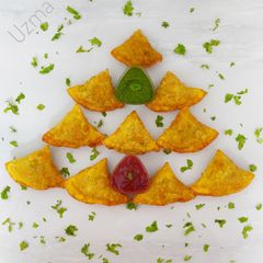 A picture of Chicken Keema Samosa.