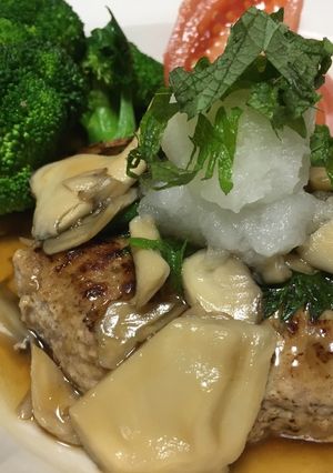 A picture of Tofu Hamburg Steak.
