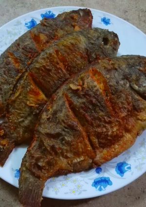 صورة لوصفة سمك بلطي مقلي