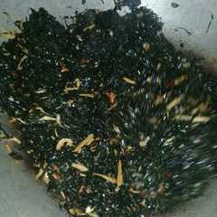 รูปของ Tumis daun mengkudu teri