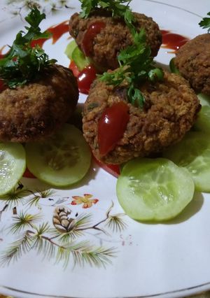 A picture of Falafal.