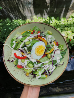 Foto resep Green Salad with Yogurt and Honey Dressing (Healthy Recipes)
