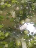 Hillbilly Miso Soup