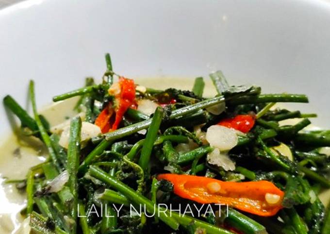 Resep Sayur Pakis Oleh Laily Nurhayati Cookpad