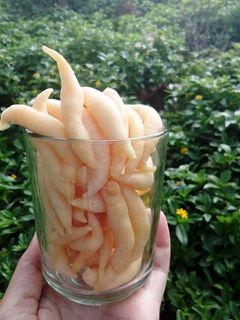 Foto resep Telur gabus