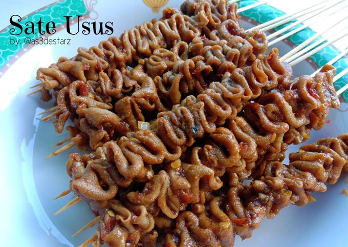 Sate Usus