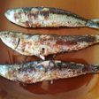 Sardinas de Huelva asadas con laurel 🌿🐟🍃
