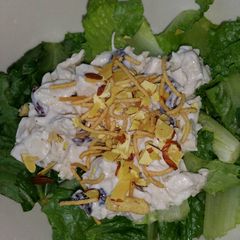Chicken Salad A picture of Chicken Salad.